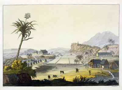 Sugar Plantation, Antilles by Paolo Fumagalli